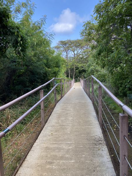 Footpath Construction in Renton
