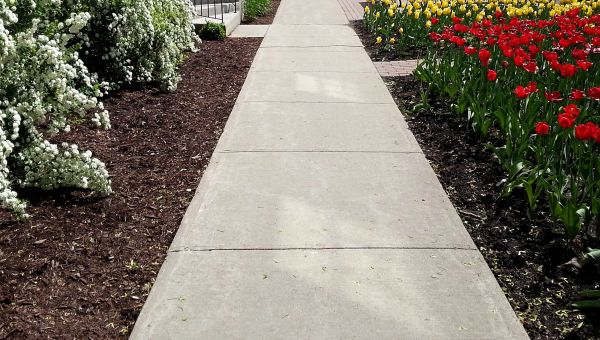 Cement Sidewalk Installation in Renton