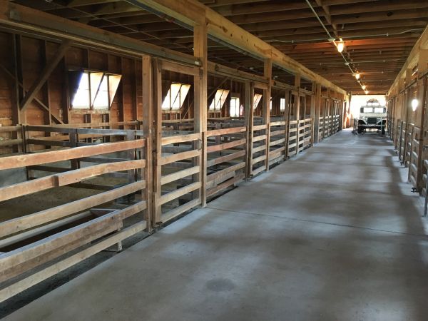 Barn Slab Construction in Renton