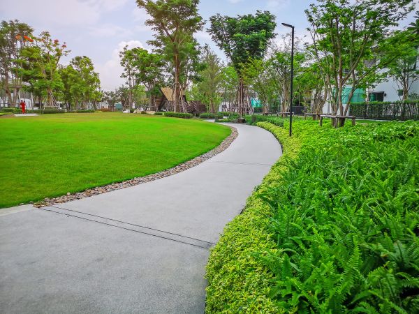 Cement Walkway Service in Renton
