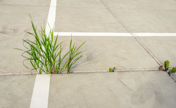 Concrete Parking Installation in Renton