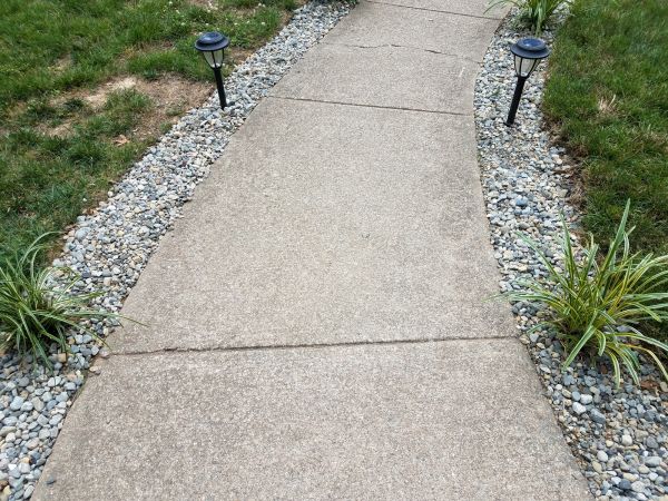Cement Path Construction in Renton