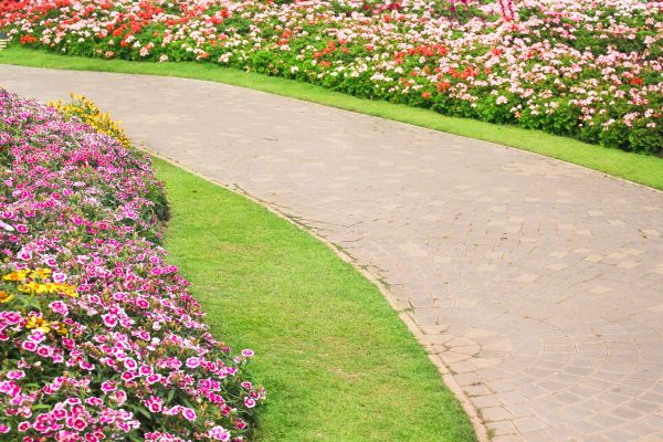 Concrete Walkway Service in Renton