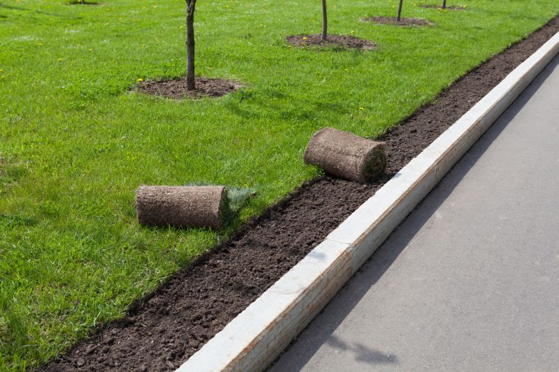 Yard Curbing Installation